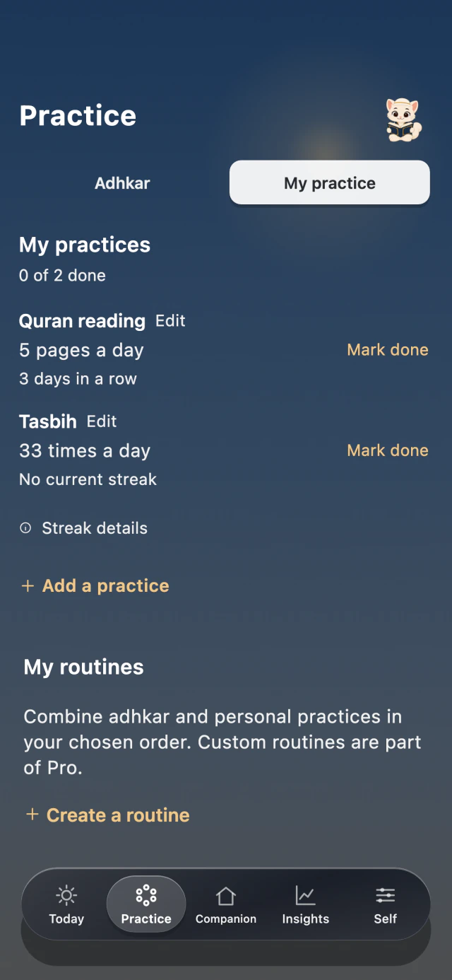 MishMish My practice screen with example reading and tasbih goals.